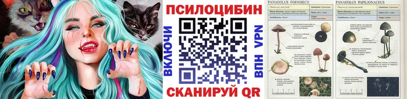 купить   Палласовка  МЕГА вход  Галлюциногенные грибы Psilocybe 